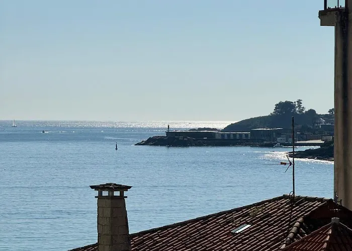 Sunset Blue サンシェンショ